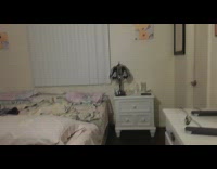 Cat fall from window sill behind blinds