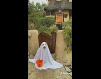Brown dog ghost costume sits outside house 