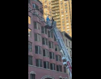 Collab winy - Firetruck ladder with person in rabbit mascot