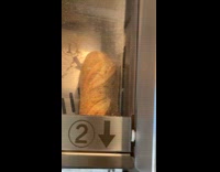 Machine in grocery cuts bread into slices