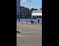 Kid pink dress spins near river park