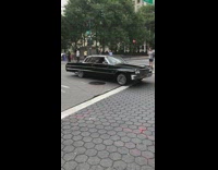 Lowrider cars drive through street in a line, second car honks