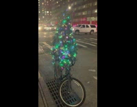 Guy in christmas tree pretends he is fox christmas tree