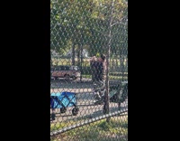 Guy plays trumpet near schoolyard