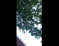 Small frog back rub and jumps towards the filmer