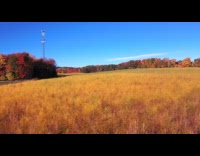 Submitter takes drone shot of asparagus field 