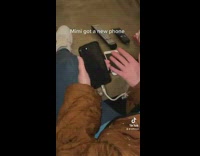 Grandma asks why backwards phone isnt working 