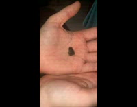 Small frog on hand turn jump away