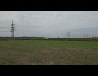 Drone Follow Flock of Birds Fly in Circles Part 1