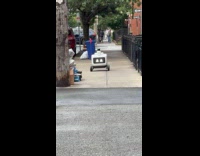 Random delivery robot roams around the street