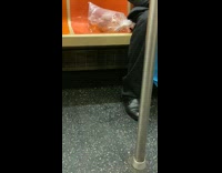 Guy on subway with fish inside bag