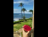 Man dragon fruit photo shoot balcony