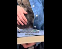 Cat embarrassed after being told its overweight 