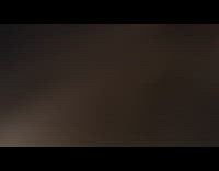 Two black bunny rabbits white house 