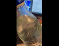 Water freezes inside the bottle after shaking