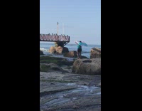 Woman hold cloth flowers print over rock 