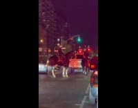 Police officers riding horses in traffic 