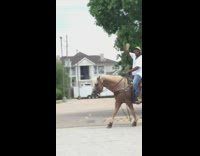 Man rides horse down side of the street, recorder plays Old town road
