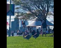 Couple tiktok trend spin fail at park