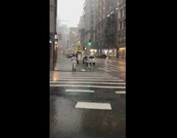 Collab winy - Guy crosses street green toy delivery truck 