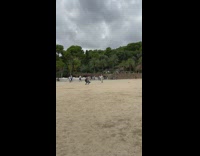 Girl grey dress walk forward overcast trees 