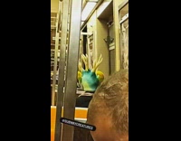 Guy on Subway Wears Antler Hat on Subway Ride 