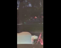 Man walks with robot dog on leash