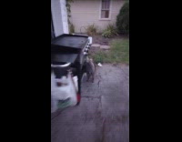 Guy approach raccoon scavenge food from grill