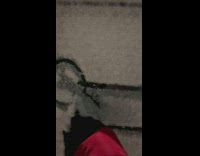 Cameraperson draws a penis on a snow covered window of a car 
