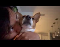 Woman kisses dog and it gets angry