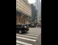 Collab winy - Donald Trump costume direct traffic on street