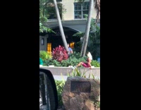 Girl purple yoga outfit sit park photographer