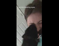 Black cat biting on girls eyelid and face 