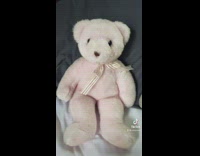 Girl shows her two different teddy bears 