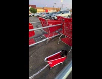 Dog wearing target shopping cart costume 