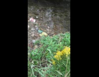 Wooden bench found on the middle of the lake