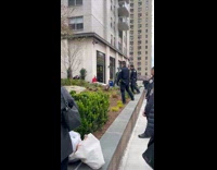 People watch cops fail to catch turkey