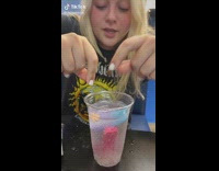 Little baby toys dropped into clear soda cup