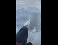 Guys foot keeps breaking frozen ice water 