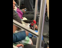 Man Holds Live Chicken Inside Tote Bag