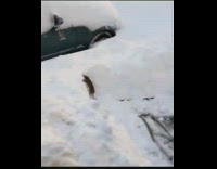 Skateboard is thrown at rat 