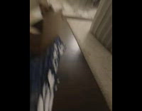 Pet dog on the box while pulled with the blanket