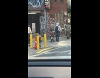 Guy walks with his dog rides on skateboard at street in NY 