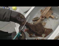 Guy cuts brown glove finds silver ring