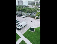 Mom squats photographs baby girl black shirt 