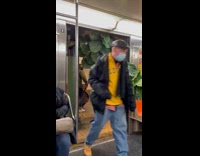 Two guys carry large plant off subway 