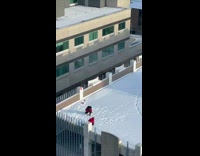 Couple lay roll around on snow together 