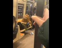 Man lay on train seat with lion plushy