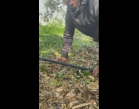 Man does skit, pretends to shoot son