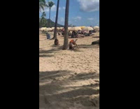 Bikini girl attempts headstand by palm tree 
